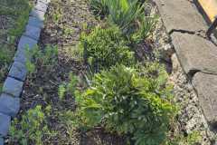 PHOTO-2026-04-12-15-50-12