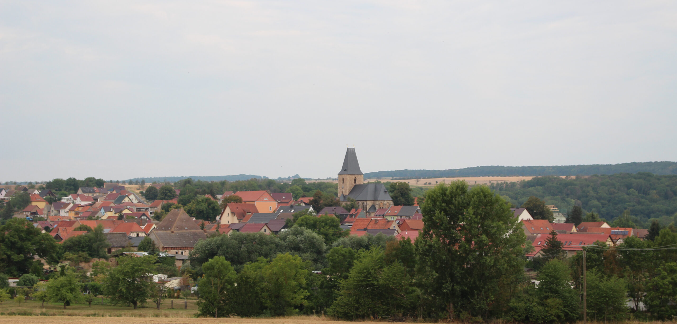 Foto der Ortschaft Bilzingsleben